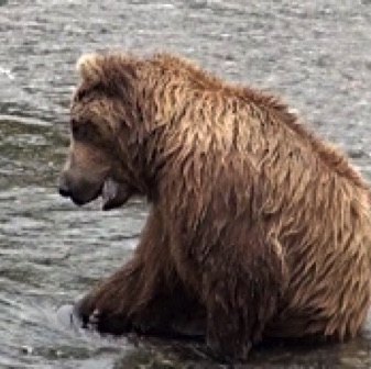 Screen Shot 2016-07-08 at 9.46.16 PM.jpg